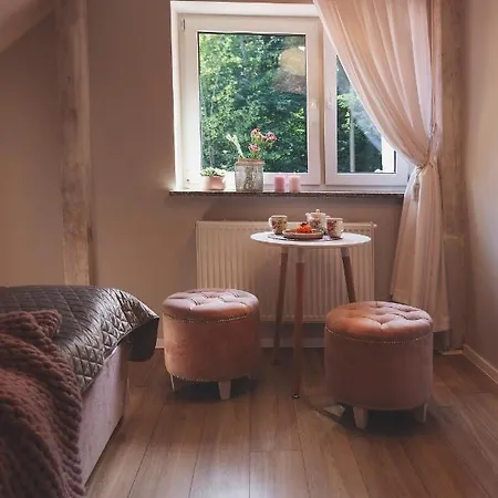 Apartamenty Willove Wzgorze Duszniki Zdroj Exterior photo