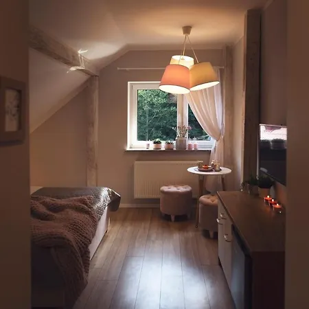 Apartamenty Willove Wzgorze Duszniki Zdroj Exterior photo