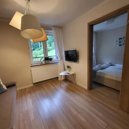 Apartamenty Willove Wzgorze Duszniki Zdroj Exterior photo