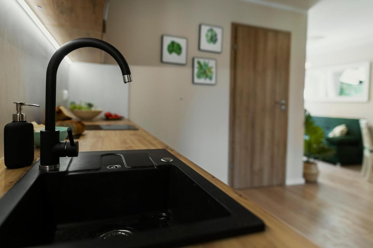 Willove Wzgorze Apartment