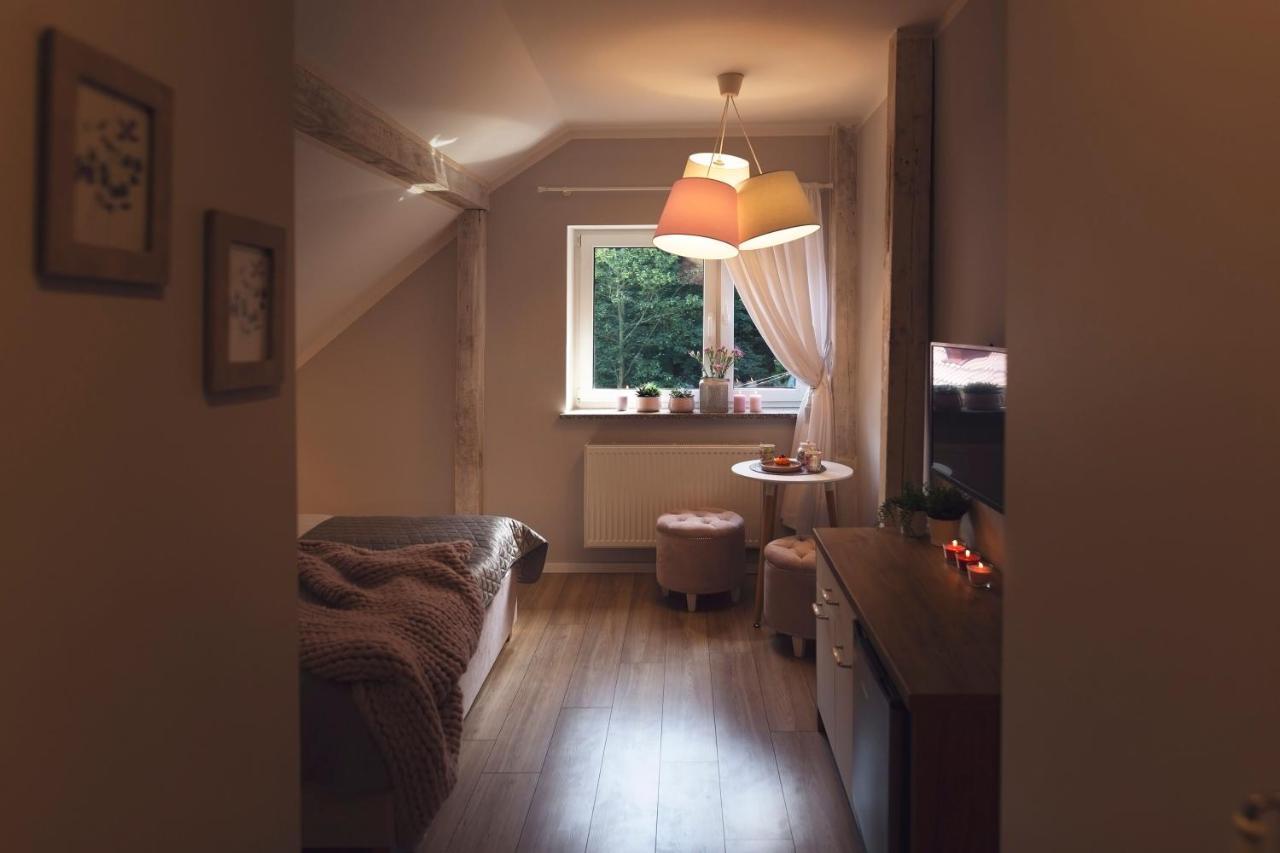 Willove Wzgorze Apartment Duszniki Zdroj