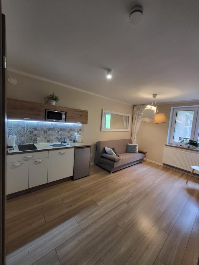 Willove Wzgorze Apartment